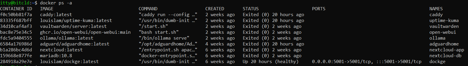 docker ps -a