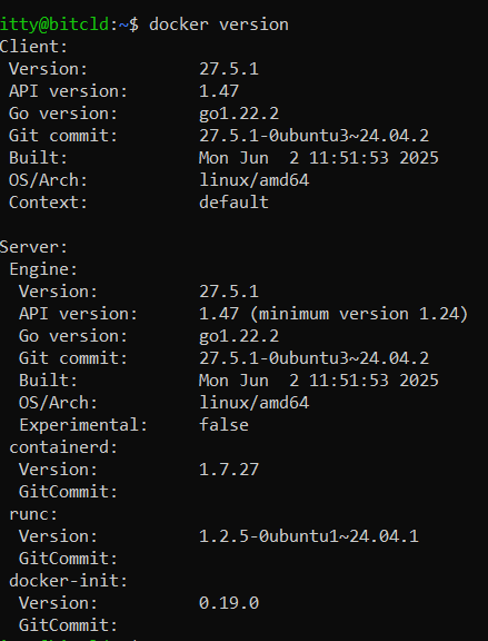 docker version